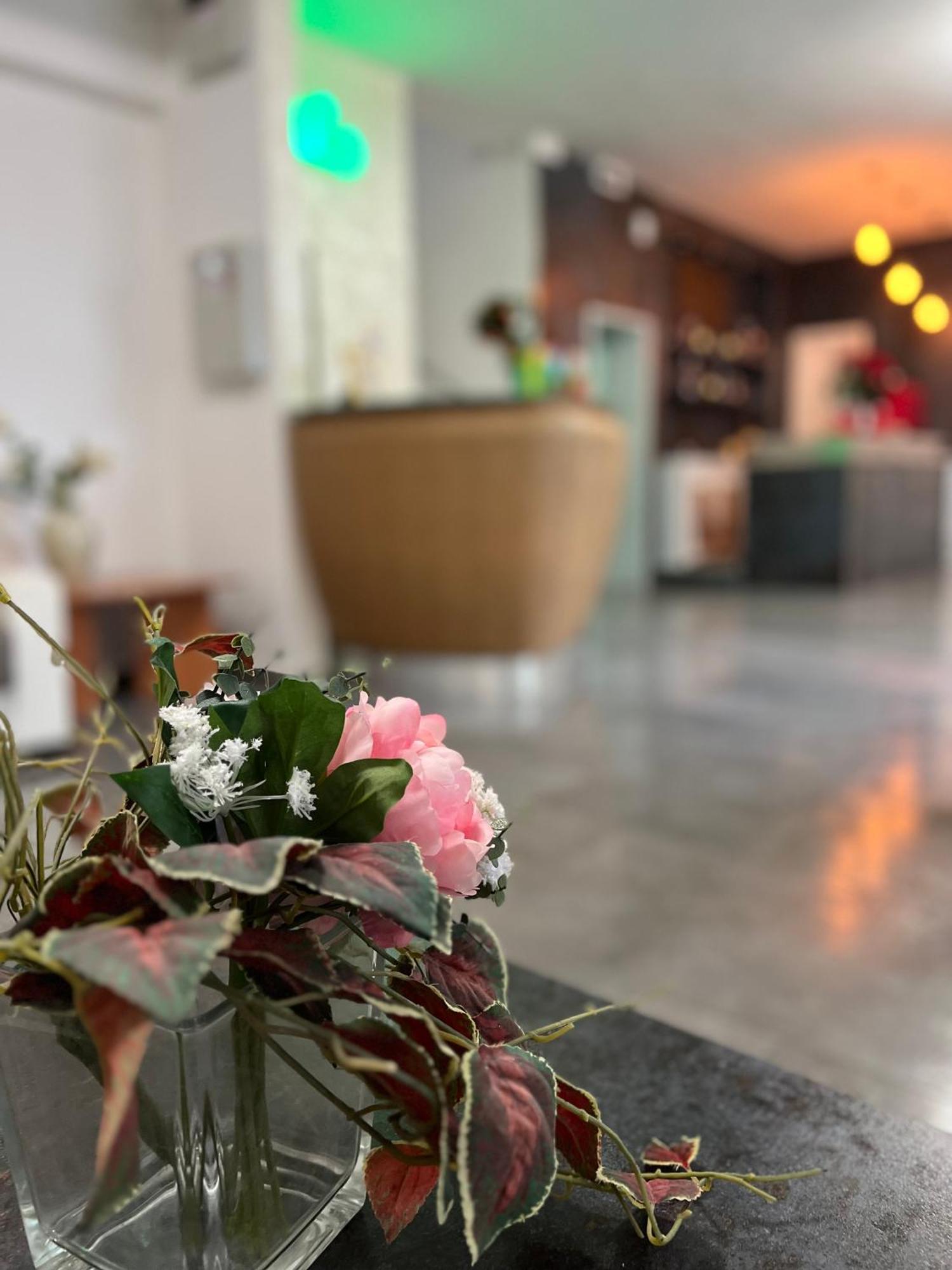 Hotel Miro 里米尼 外观 照片